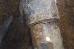Foto5